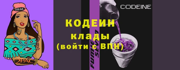 крисы Армянск