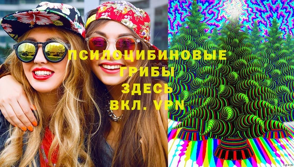 прущая мука Аркадак