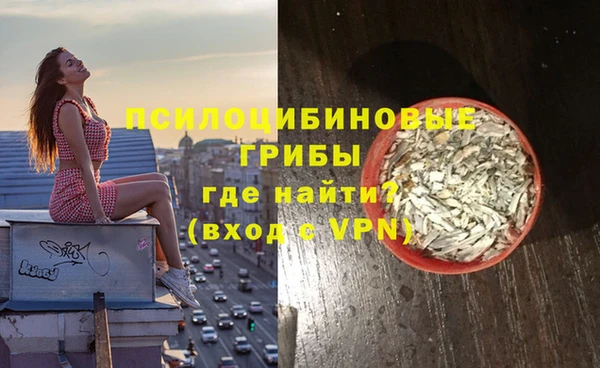 ешки Арсеньев