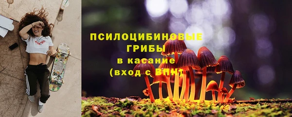 крисы Армянск