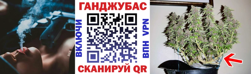 купить  цена  Теберда  Конопля планчик 